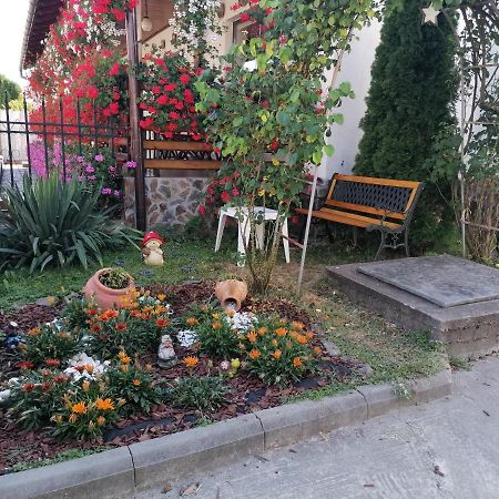 Pensiunea Ioana Curtea de Argeş Extérieur photo