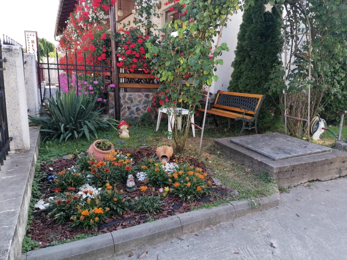 Pensiunea Ioana Curtea de Argeş Extérieur photo