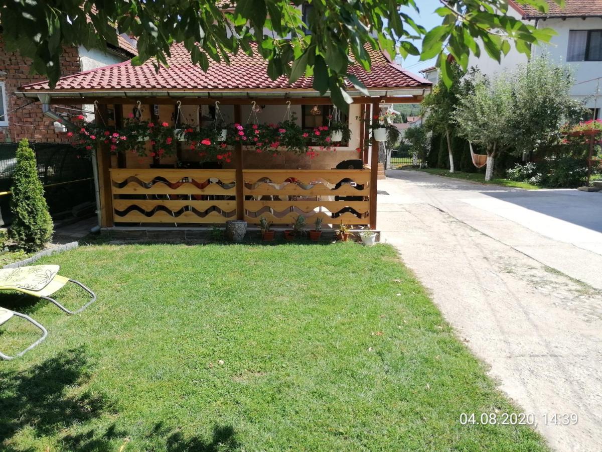 Pensiunea Ioana Curtea de Argeş Extérieur photo