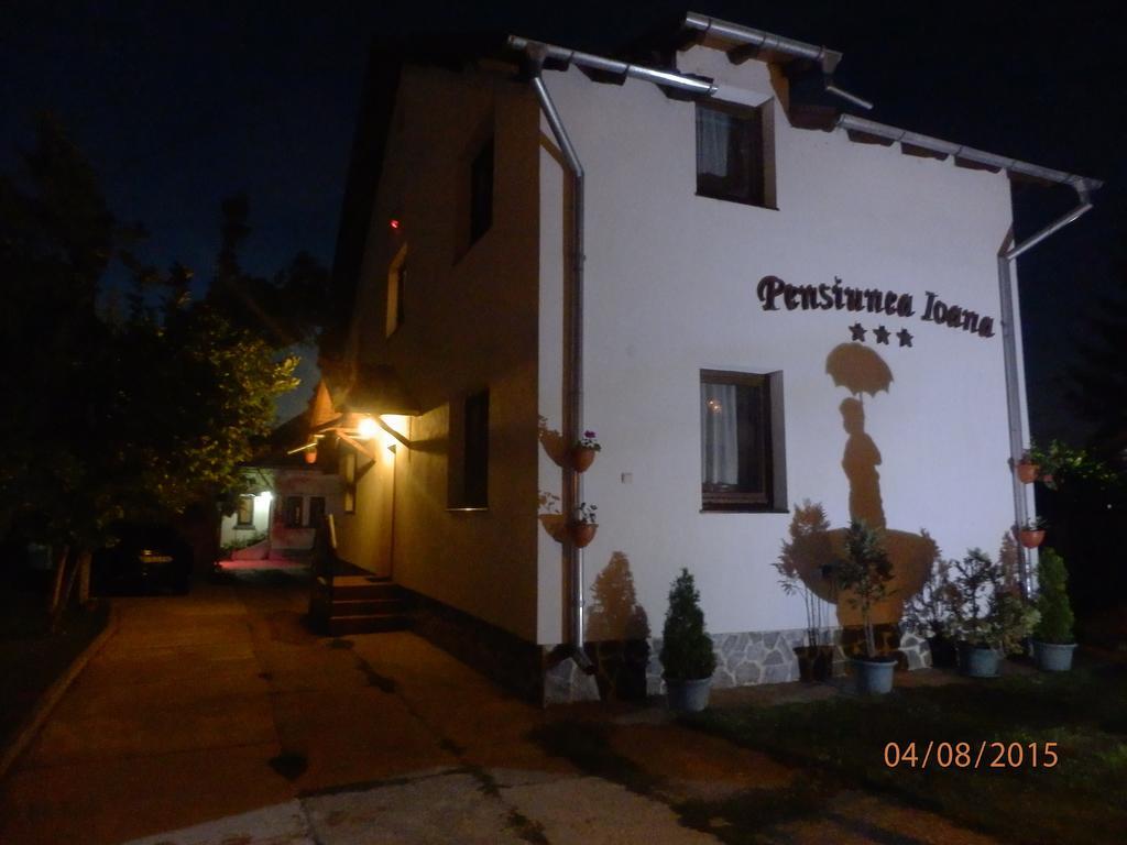 Pensiunea Ioana Curtea de Argeş Extérieur photo