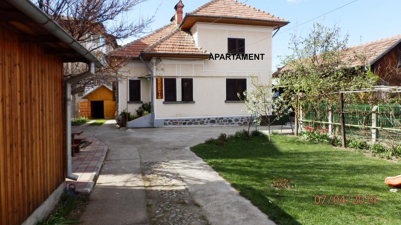 Pensiunea Ioana Curtea de Argeş Extérieur photo